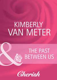 The Past Between Us - Kimberly Meter