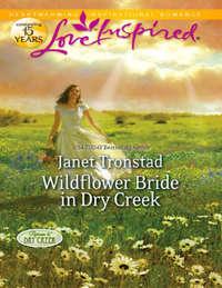 Wildflower Bride in Dry Creek, Janet  Tronstad audiobook. ISDN42469327