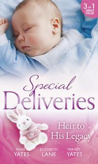Special Deliveries: Heir To His Legacy: Heir to a Desert Legacy - Elizabeth Lane