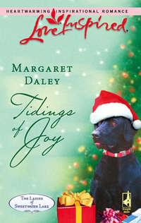 Tidings of Joy, Margaret  Daley audiobook. ISDN42475575