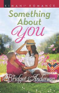 Something About You, Bridget  Anderson audiobook. ISDN42476207