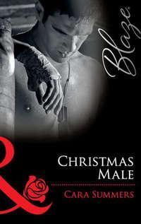 Christmas Male - Cara Summers