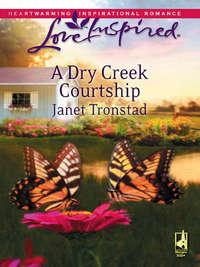A Dry Creek Courtship - Janet Tronstad