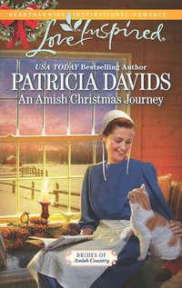 An Amish Christmas Journey, Patricia  Davids audiobook. ISDN42481079