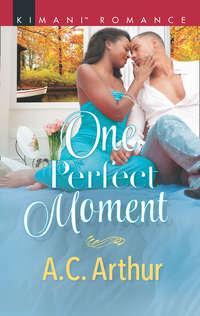 One Perfect Moment, A.C.  Arthur audiobook. ISDN42481479
