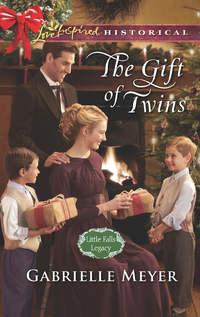 The Gift Of Twins, Gabrielle  Meyer audiobook. ISDN42487461