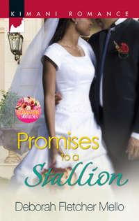 Promises to a Stallion - Deborah Mello