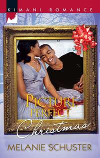 Picture Perfect Christmas - Melanie Schuster