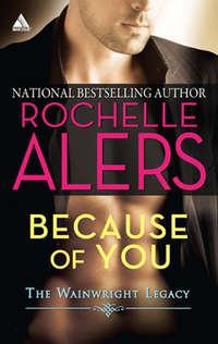 Because of You, Rochelle  Alers audiobook. ISDN42491781