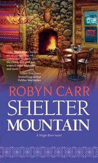 Shelter Mountain, Робина Карра аудиокнига. ISDN42492317