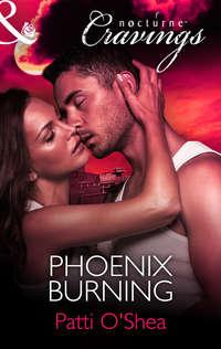 Phoenix Burning, Patti  OShea audiobook. ISDN42492813