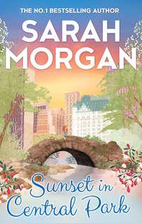 Sunset In Central Park, Sarah  Morgan audiobook. ISDN42494541