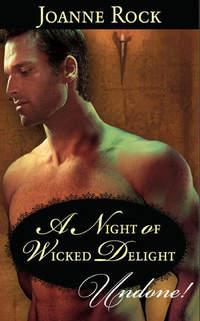 A Night of Wicked Delight, Джоанны Рок audiobook. ISDN42495309