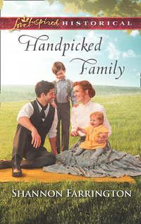Handpicked Family, Shannon  Farrington audiobook. ISDN42495557