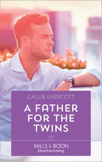 A Father For The Twins - Callie Endicott