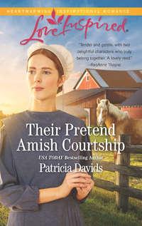Their Pretend Amish Courtship, Patricia  Davids audiobook. ISDN42498181