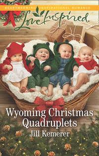 Wyoming Christmas Quadruplets, Jill  Kemerer аудиокнига. ISDN42498429
