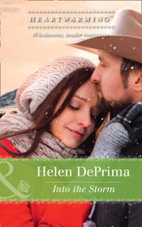 Into The Storm, Helen  DePrima audiobook. ISDN42504423