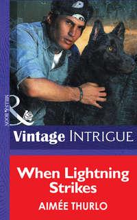 When Lightning Strikes, Aimee  Thurlo audiobook. ISDN42506255