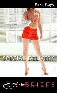 Special Delivery, Riki  Kaye аудиокнига. ISDN42506911