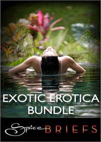 Exotic Erotica Bundle: Invite Me In / Tokyo Rendezvous / Soul Strangers - Jina Bacarr