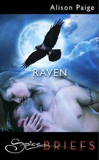 Raven, Alison  Paige аудиокнига. ISDN42508439