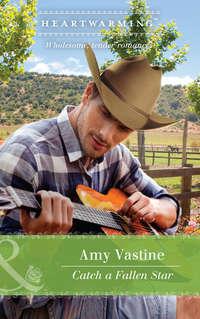 Catch A Fallen Star, Amy  Vastine audiobook. ISDN42509055