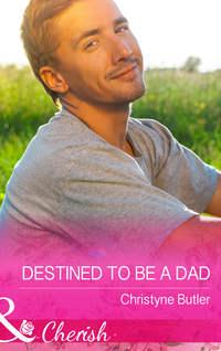 Destined to Be a Dad, Christyne  Butler audiobook. ISDN42509711