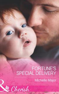 Fortune′s Special Delivery - Michelle Major