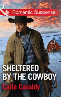 Sheltered By The Cowboy, Carla  Cassidy audiobook. ISDN42510487