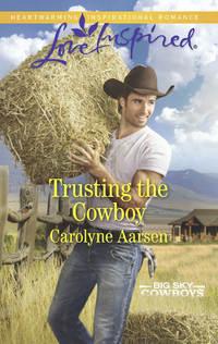 Trusting The Cowboy, Carolyne  Aarsen аудиокнига. ISDN42510791