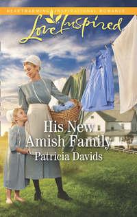 His New Amish Family, Patricia  Davids audiobook. ISDN42510999