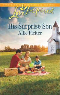 His Surprise Son, Allie  Pleiter audiobook. ISDN42511191