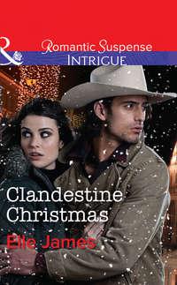 Clandestine Christmas, Elle James audiobook. ISDN42511487