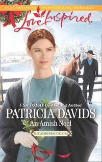 An Amish Noel, Patricia  Davids аудиокнига. ISDN42511703