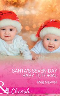 Santa′s Seven-Day Baby Tutorial, Meg  Maxwell аудиокнига. ISDN42512015
