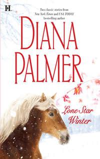 Lone Star Winter: The Winter Soldier - Diana Palmer