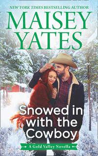 Snowed in with the Cowboy, Maisey  Yates audiobook. ISDN42513079