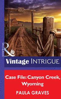 Case File: Canyon Creek, Wyoming, Paula  Graves аудиокнига. ISDN42515181