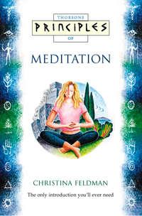 Meditation: The only introduction you’ll ever need, Christina  Feldman аудиокнига. ISDN42515845