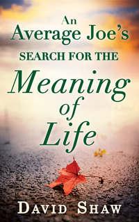 An Average Joe′s Search For The Meaning Of Life - David Shaw