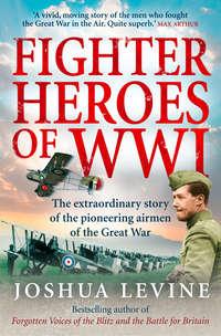 Fighter Heroes of WWI: The untold story of the brave and daring pioneer airmen of the Great War - Joshua Levine