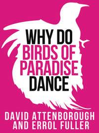 David Attenborough’s Why Do Birds of Paradise Dance,  książka audio. ISDN42516341