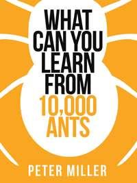 What You Can Learn From 10,000 Ants, Peter  Miller audiobook. ISDN42516597