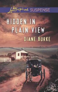 Hidden in Plain View - Diane Burke