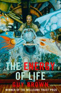 The Energy of Life:, Guy  Brown аудиокнига. ISDN42518445