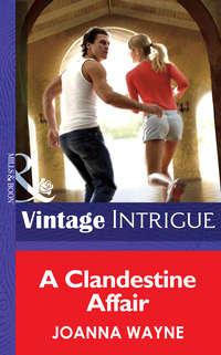 A Clandestine Affair, Joanna  Wayne audiobook. ISDN42518821