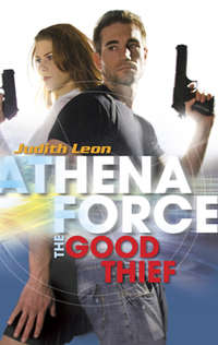 The Good Thief - Judith Leon