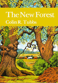 The New Forest - Colin Tubbs