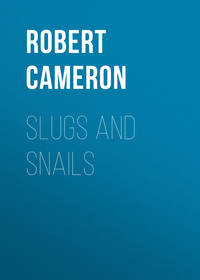 Slugs and Snails - Robert Cameron